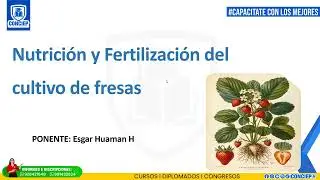 📚𝗖𝗨𝗥𝗦𝗢:  I.NUTRICION Y FERTILIZACION EN EL CULTIVO DE FRESAS📚