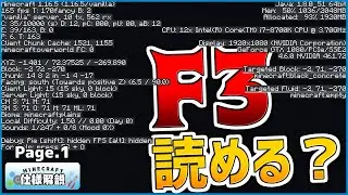 【マイクラ】F3表示を読めるようになりたい！！【のんず】