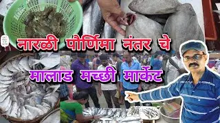 नारळी पौर्णिमा नंतर चे श्रावण महिन्यातले मालाड मच्छी मार्केट. Mumbai Malad Fish Market Latest Vlog.