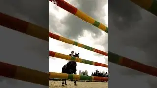 Unbridle the Mystery: An Adventure into the Hidden Heart of Horses  #shorts#shortvideo #viral
