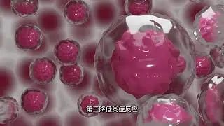 細胞抗衰老 你不得不知道的 PEMF Therapy 脈油電磁場療法 #olynation #賽博覺醒