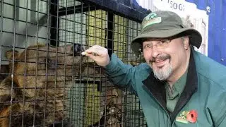 Bear Rescue News Report