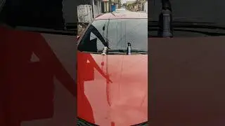 Sinergy Vonixx X Synthetic Coating Nobrecar