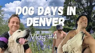 Dog Sitting in Denver: Old Friends, Auditions & Skinny Dips | Vlog #4