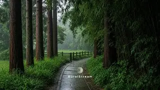 🌲 Sleep Instantly in a Serene Forest | ⛈️ Gentle Rain Sounds, Focus & Relaxation (10 Hours)