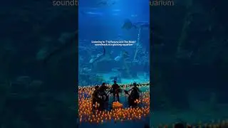 Candlelight Concert in an Aquarium | Fever