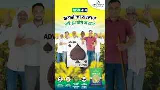 एडवांटा ADV 414 &ndash; सरसों का सरताज, करे हर खेत में राज।