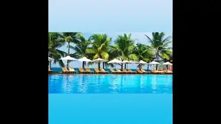 NEW World Crypto Life TRAVEL Unveiling with Comp Plan!!!!!