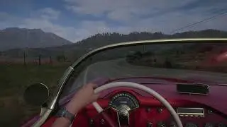 Itststix Forza Cruise