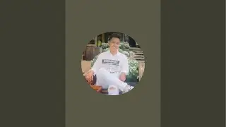 Video livestream of cats 2026