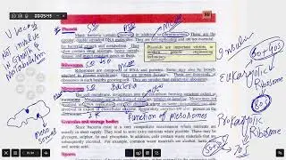 bacterial plasmid, mesosomes, spores, granules 1sy year Biology