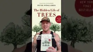 Have you read the Hidden Life of Trees? If you haven&rsquo;t, don&rsquo;t &mdash; this book is more fiction than fact.