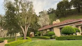 Charming Neighborhood Tour | Beautiful Missions & Backyard Vineyard