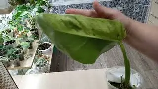 Новинки - Просто Восторг😄