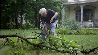 How to deal with storm debris