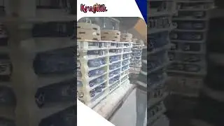 Ceramic Products | Ceramic Products Manufacturing | Warehouse Tour #ceramic #ceramics #ceramicpots