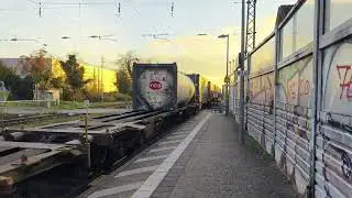 Beacon Rail Siemens Vectron MS X4 E 654 // Durmersheim 