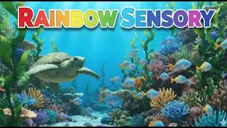 Aquarium 4K Sensory Coral Reef Fish 🐠 Beautiful - Relaxing Sleep Meditation Music Todler🐟🐬