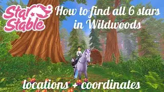 How to Find ALL 6 Stars in Wildwoods | With Coordinates | Star Stable Online