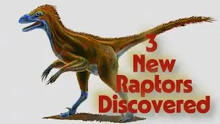 3 New Raptors Discovered In UTAH!!!