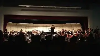 Yorkville Summer Orchestra 2022.....Locust Street Rag