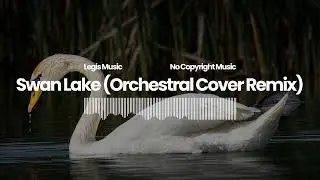 Epic Classical Royalty-Free Music for Film & YouTube | Swan Lake (Orchestral Cover Remix)