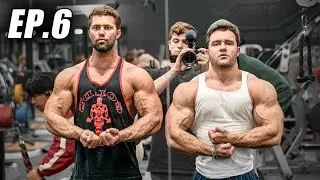 SHOULDERS & ARMS W/ DTREN | Bulk EP.6