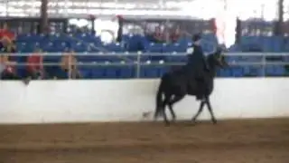 scottsdale video