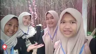 STUDY WISATA SURAMADU-SURABAYA-MALANG MTsN 2 KULON PROGO 