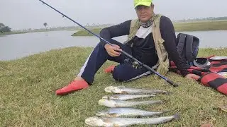wallago attu fishing big padan fish catching with spoon || catch new fish