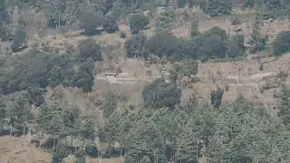 2024.01.16 zoom kain mandhar, patlikuhal