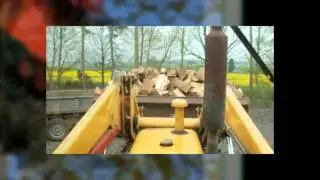 Tree Surgery Training