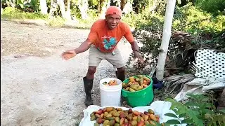 People farmer man need buyers for the things them