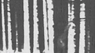 Meat Beat Manifesto - She's Unreal