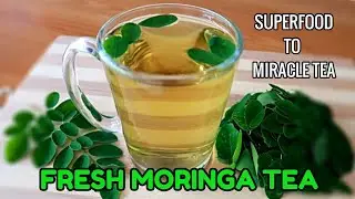 This Tea is A SUPERFOOD  to MIRACLE Tea / Fresh MORINGA LEAF Tea