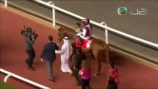 2016 Al Maktoum Challenge R3 G1 - Special Fighter (特殊戰將) - F.Jara (準備就緒場地大利前領直路力追仍冇法追近屈居亞軍)