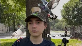 I tried taming NYC pigeons