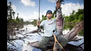 Pesca de Guapote Con Mosca, Fly Fishing Rainbowbass