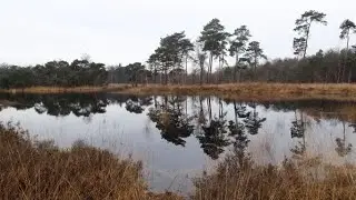 1758 Goirle (Noord-Brabant, NL) 10,4 km