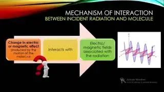 Mechanism in Microwave Spectroscopy
