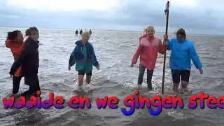 Wadlopen 2010.wmv