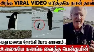 Viral Penguin Video 😢 Tragic Decision Reason | Werner Herzog About Documentary | Walks To Mountain