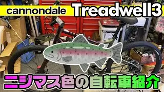 【cannondale】ニジマス色の自転車を紹介したら素晴らし過ぎて驚いた！【TREADWELL 3】高山サイクル自転車紹介シリーズ！