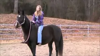 Trick Riding: Vaulting Onto a Horse