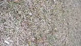 DSCF0816