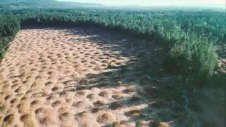 Unraveling the Mystery of the Mima Mounds