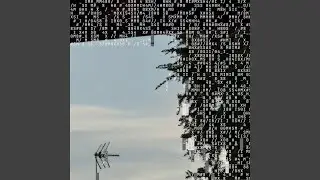 SSdMTCBESUUgQUxPTkU=