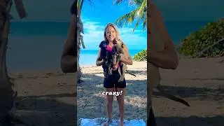 I Found an Abandoned Puppy on the Beach!