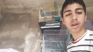 دخلت انت البيروش عند ذكر مسعود