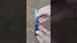 Victorinox Synergy